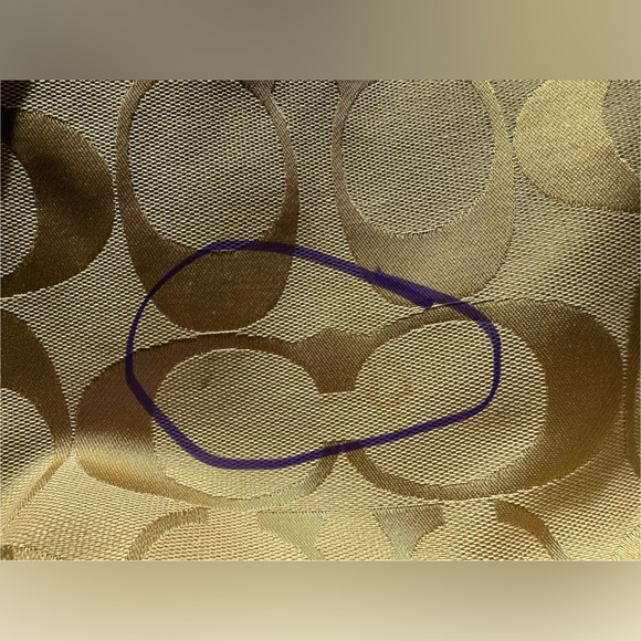 Price is firm- Coach C1060-F15067 - Picture 9 of 16